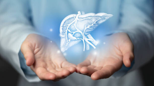 Na slici je ilustracija koja prikazuje ruke koje drže zdravu jetru - odnosno nastojanje čoveka da je održi zdravom.