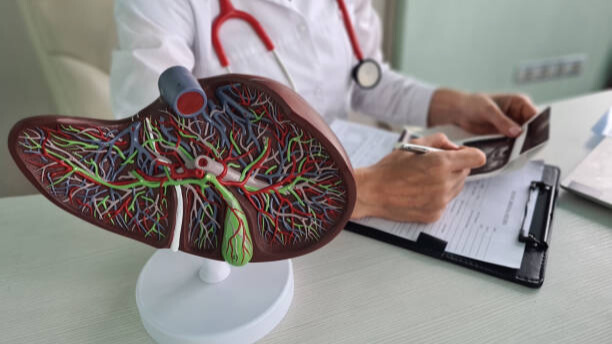 Na slici je prikazan model preska jetre i izveštaj koji doktor piše na pregledu.